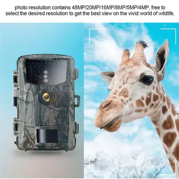 Камера для охоты на Тропу 32-мегапиксельная Камера наблюдения за дикой природой Детектор Водонепроницаемый Мониторинг Инфракрасного теплового зондирования Ночью